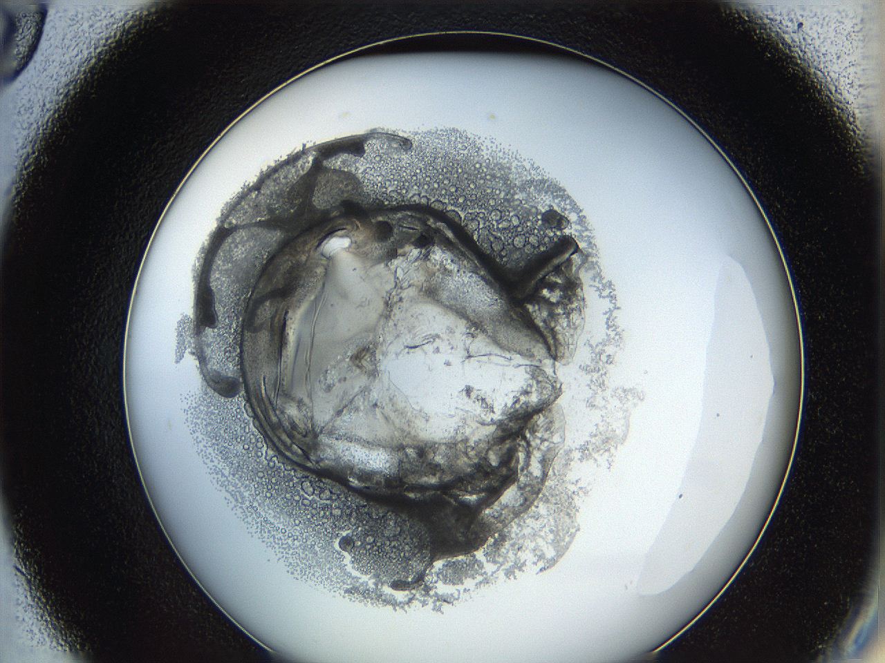 0628_D9_ImagerDefaults_3.jpg