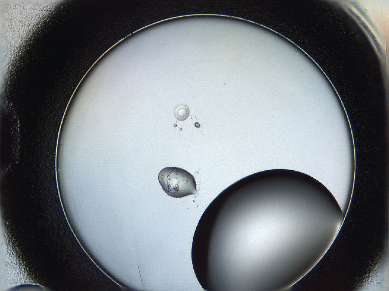 0628_D10_ImagerDefaults_5.jpg