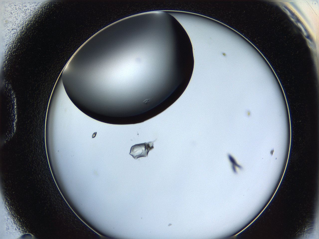 0628_D11_ImagerDefaults_0.jpg