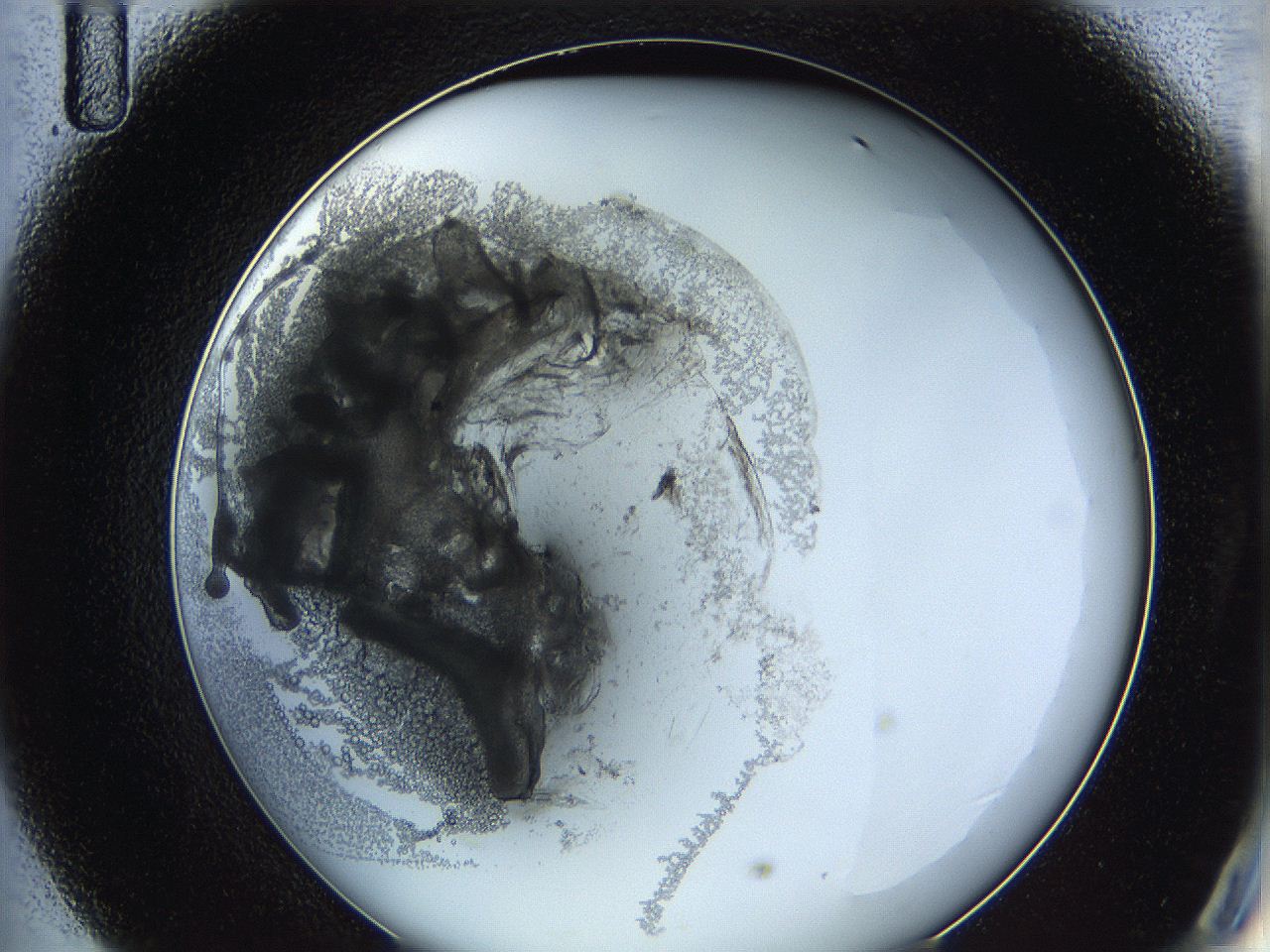 0628_D11_ImagerDefaults_3.jpg