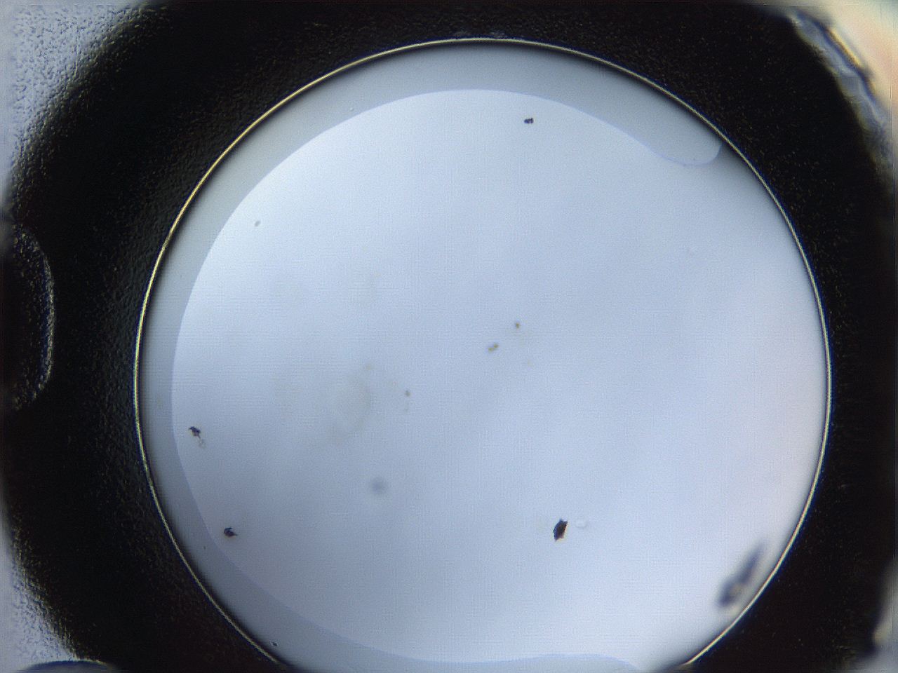 0628_D12_ImagerDefaults_0.jpg