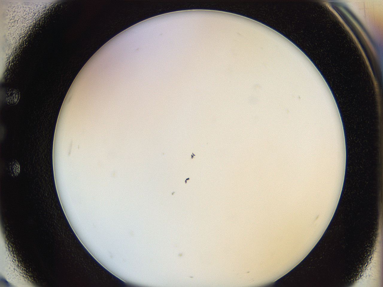 0628_E3_ImagerDefaults_0.jpg