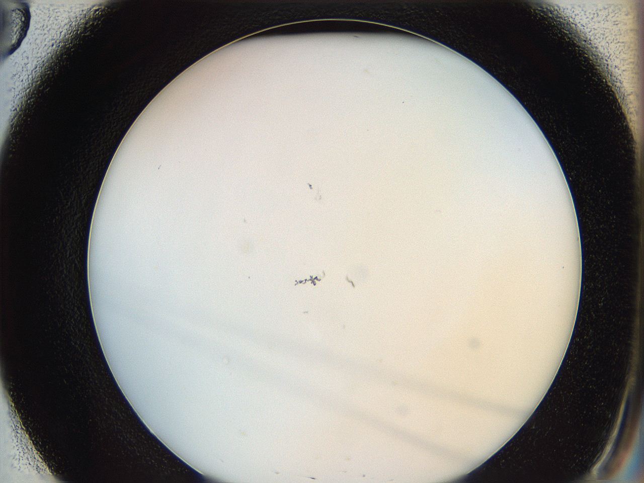 0628_E3_ImagerDefaults_1.jpg