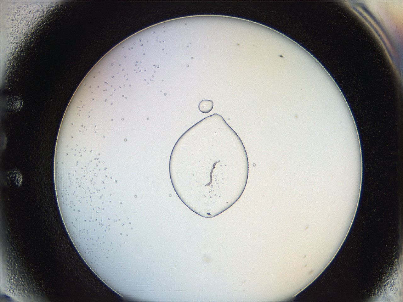 0628_E6_ImagerDefaults_5.jpg