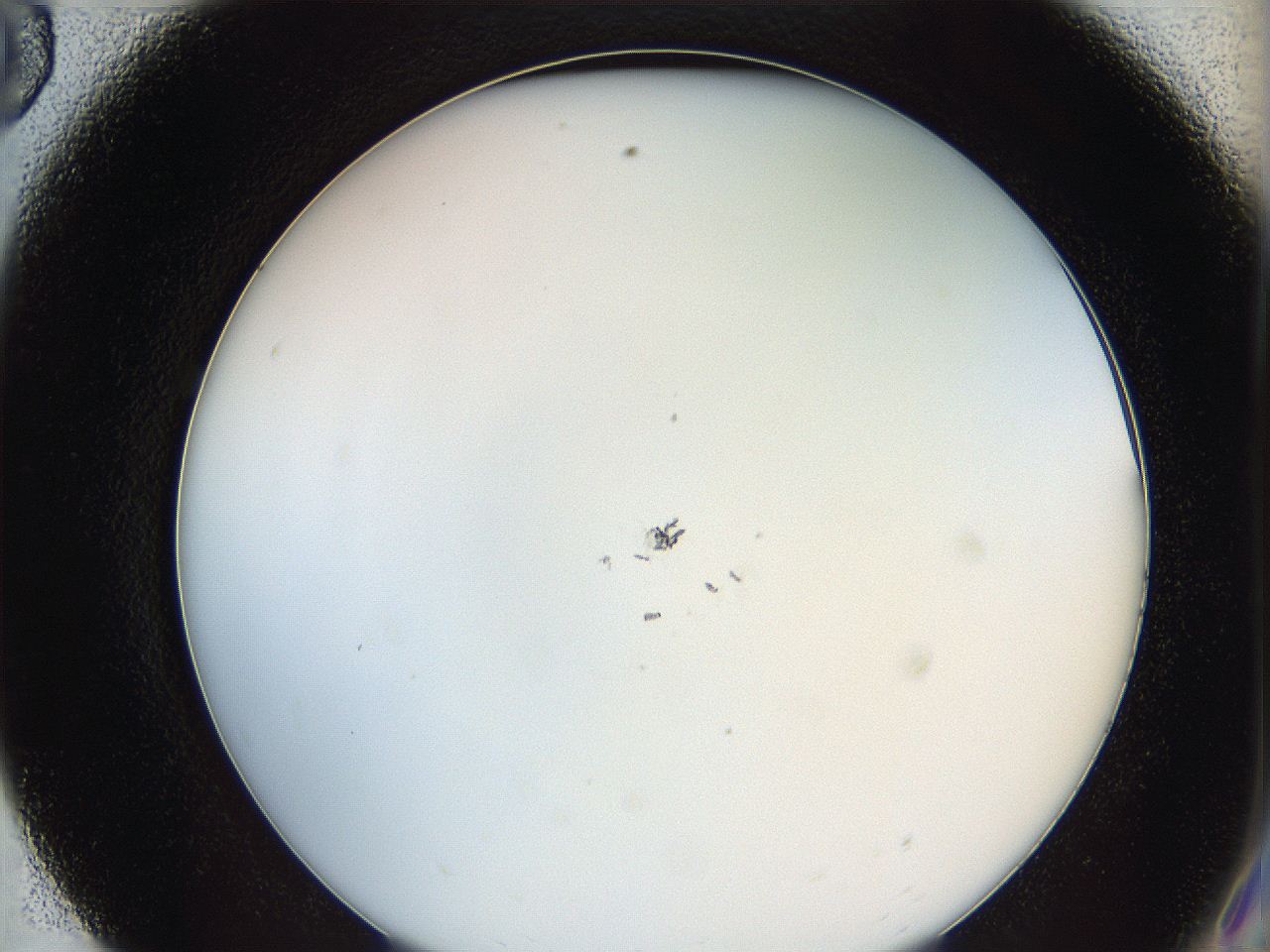 0628_E8_ImagerDefaults_1.jpg