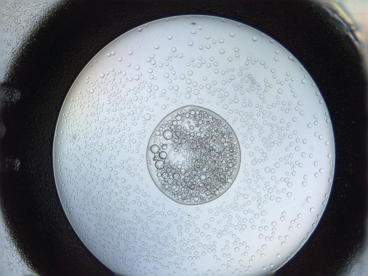 0628_E11_ImagerDefaults_5.jpg