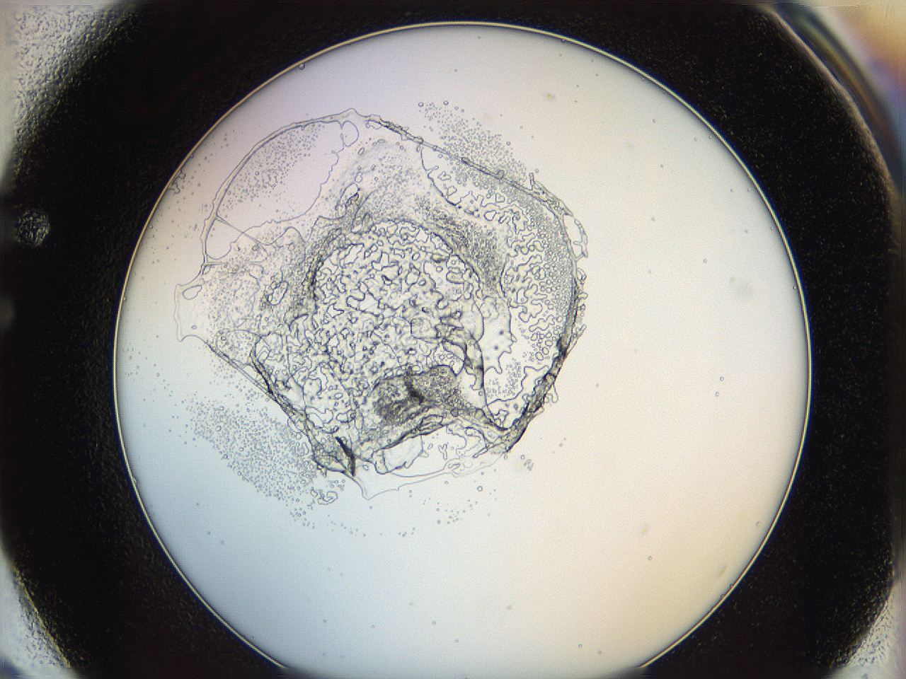 0628_F2_ImagerDefaults_3.jpg