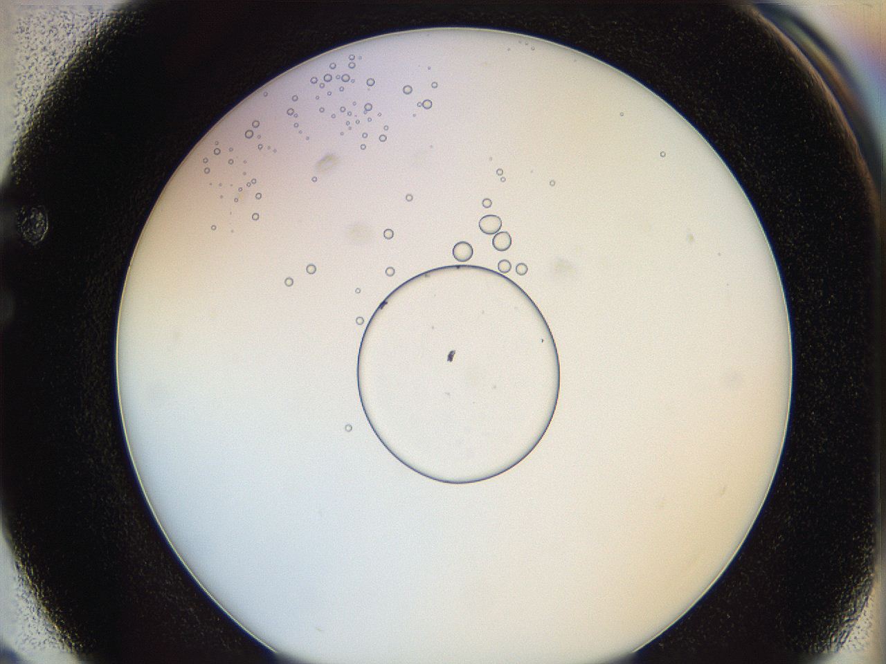 0628_F3_ImagerDefaults_5.jpg