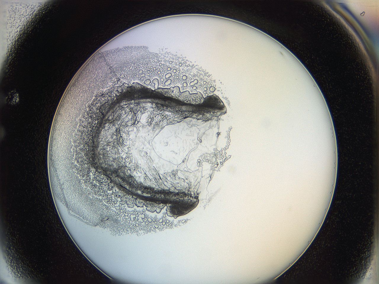 0628_F4_ImagerDefaults_3.jpg