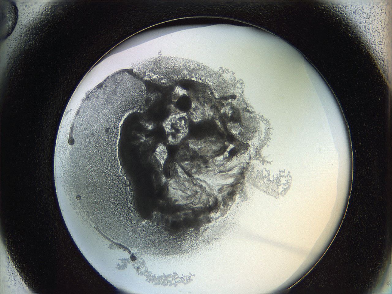 0628_F6_ImagerDefaults_3.jpg