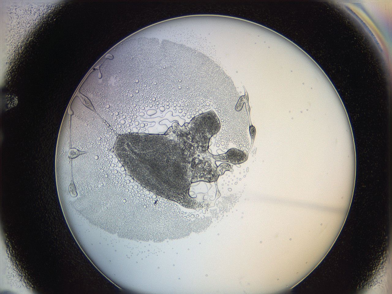 0628_F7_ImagerDefaults_5.jpg
