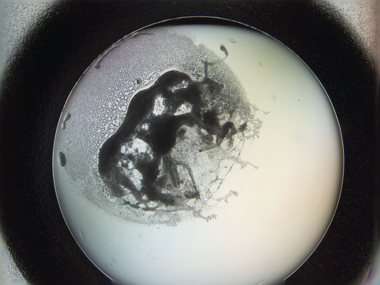0628_F7_ImagerDefaults_3.jpg