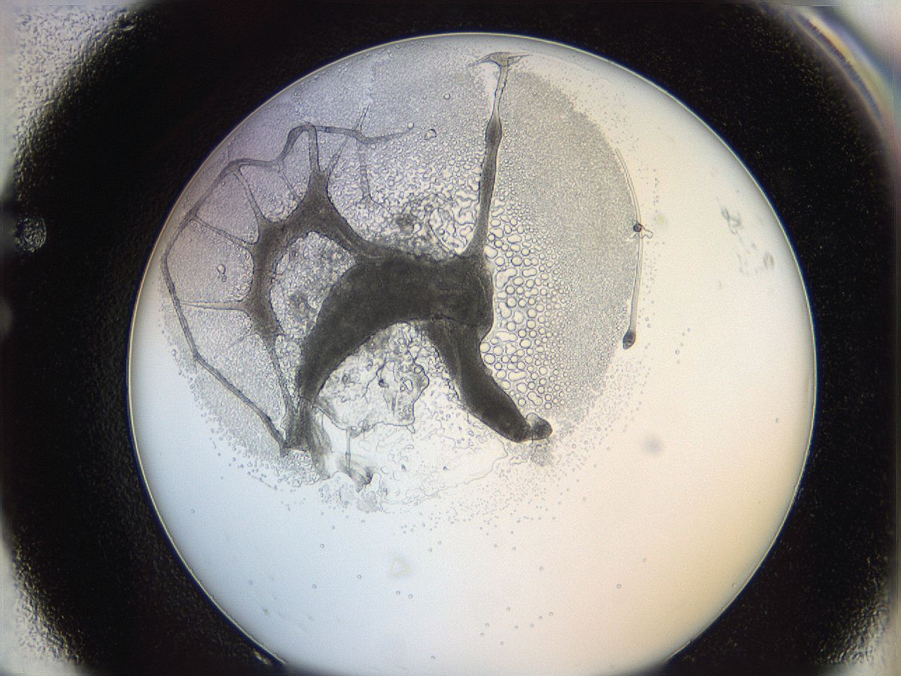 0628_F8_ImagerDefaults_5.jpg