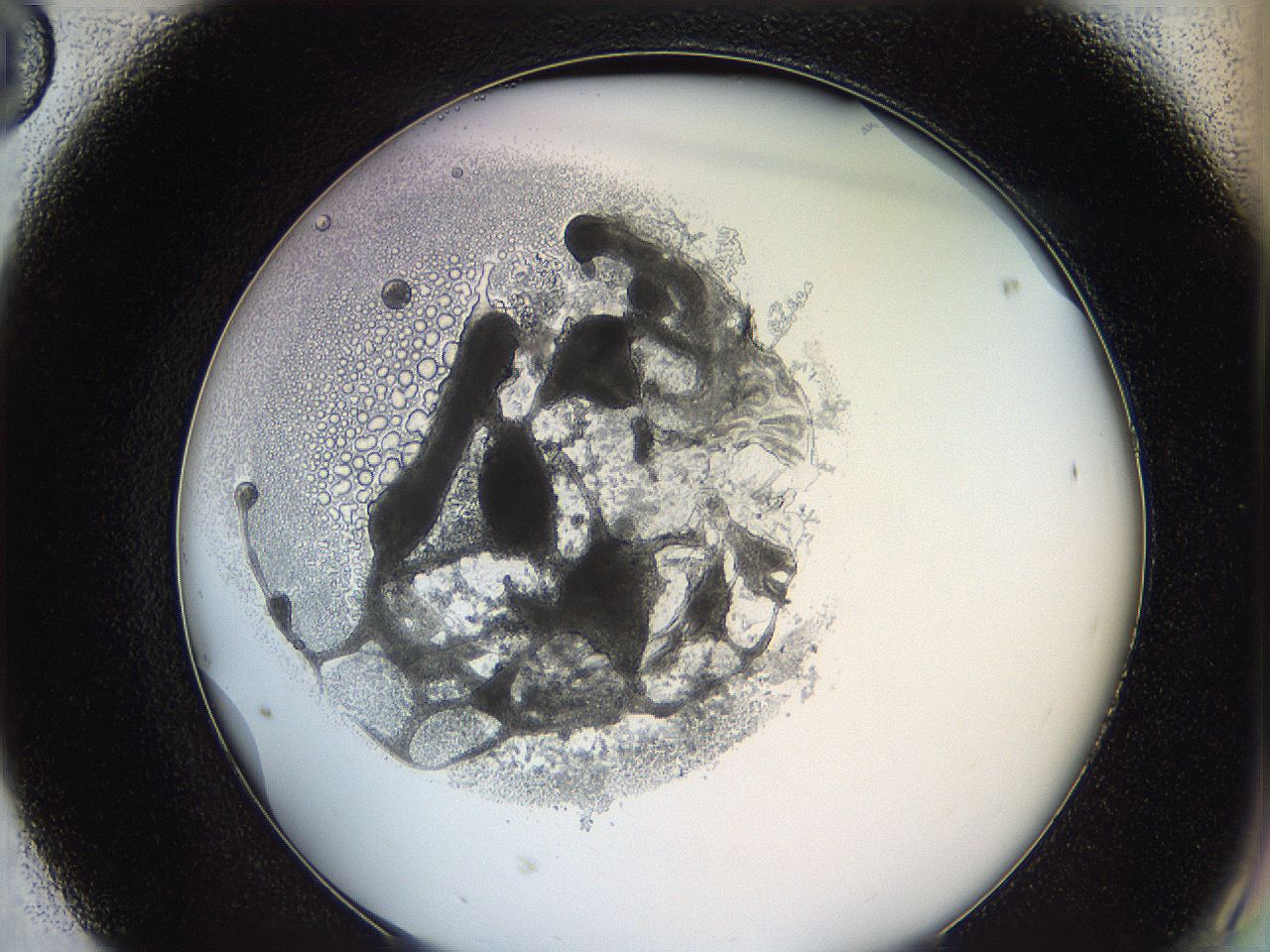 0628_F8_ImagerDefaults_3.jpg