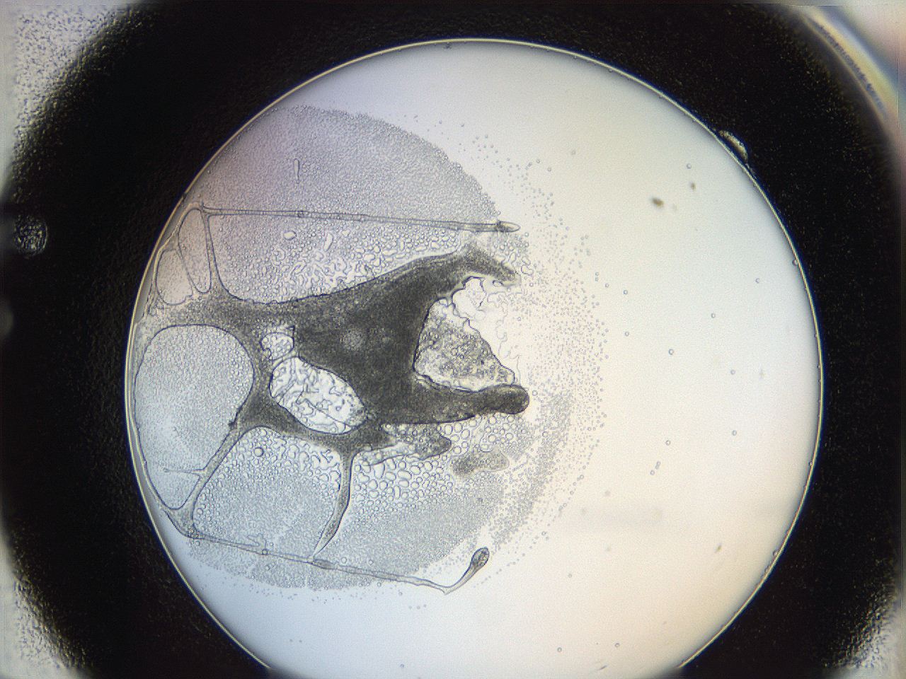 0628_F9_ImagerDefaults_5.jpg