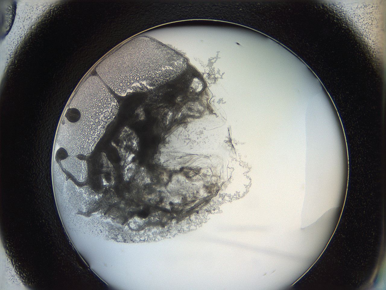 0628_F9_ImagerDefaults_3.jpg