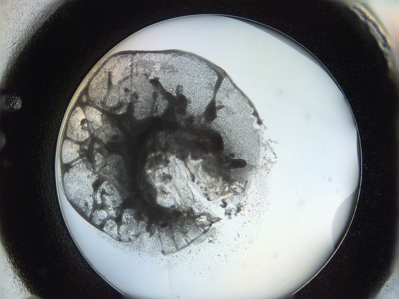 0628_F11_ImagerDefaults_3.jpg