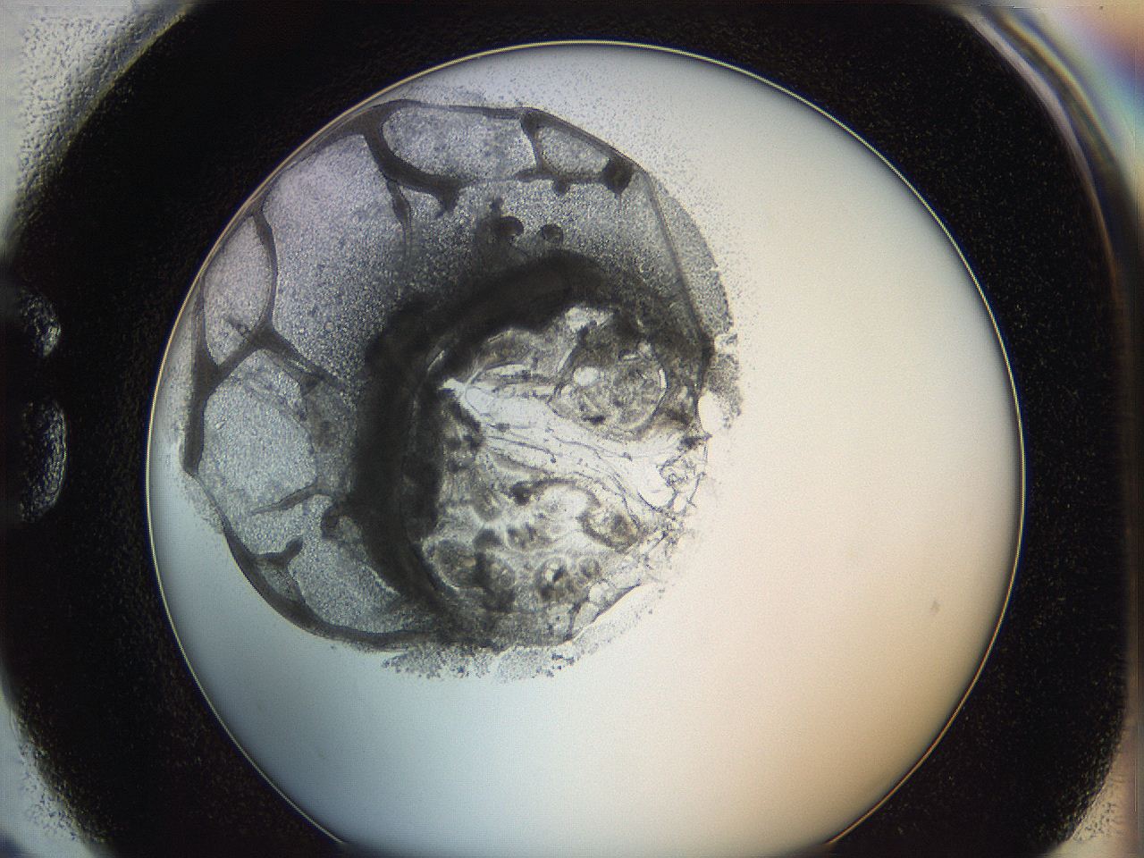 0628_G2_ImagerDefaults_3.jpg