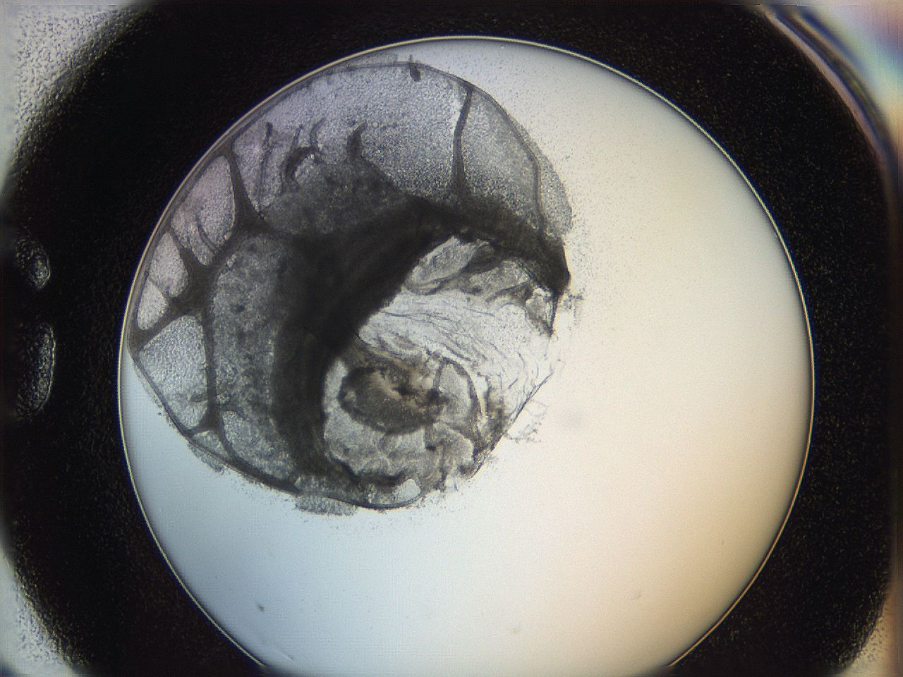 0628_G3_ImagerDefaults_3.jpg