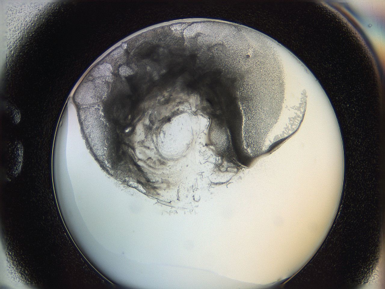 0628_G5_ImagerDefaults_3.jpg
