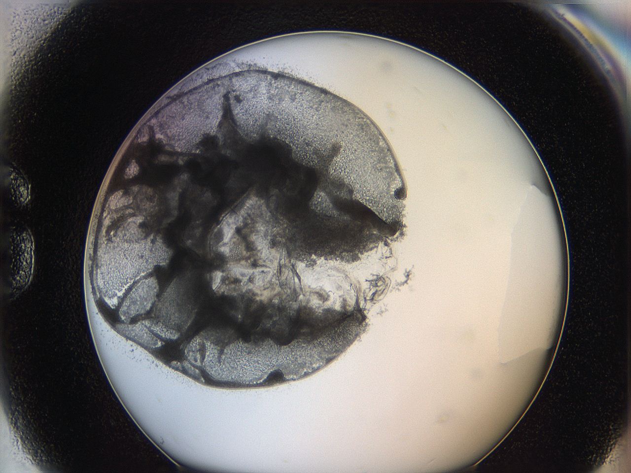 0628_G9_ImagerDefaults_3.jpg