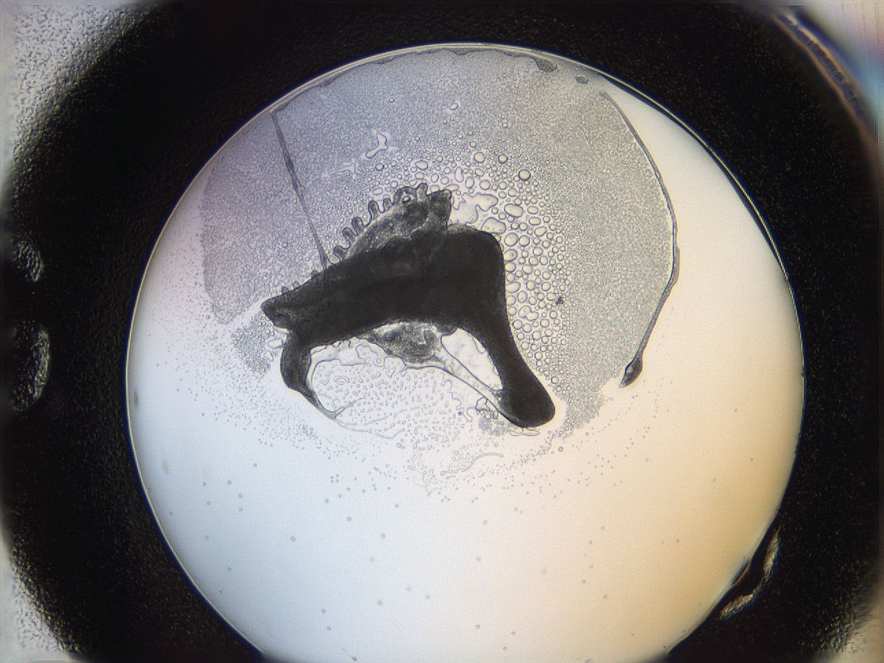 0628_G10_ImagerDefaults_5.jpg