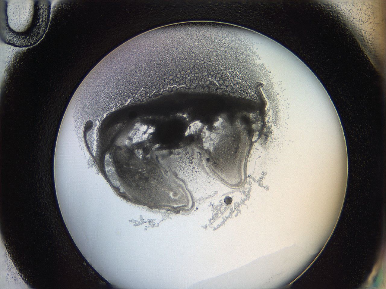 0628_G10_ImagerDefaults_3.jpg