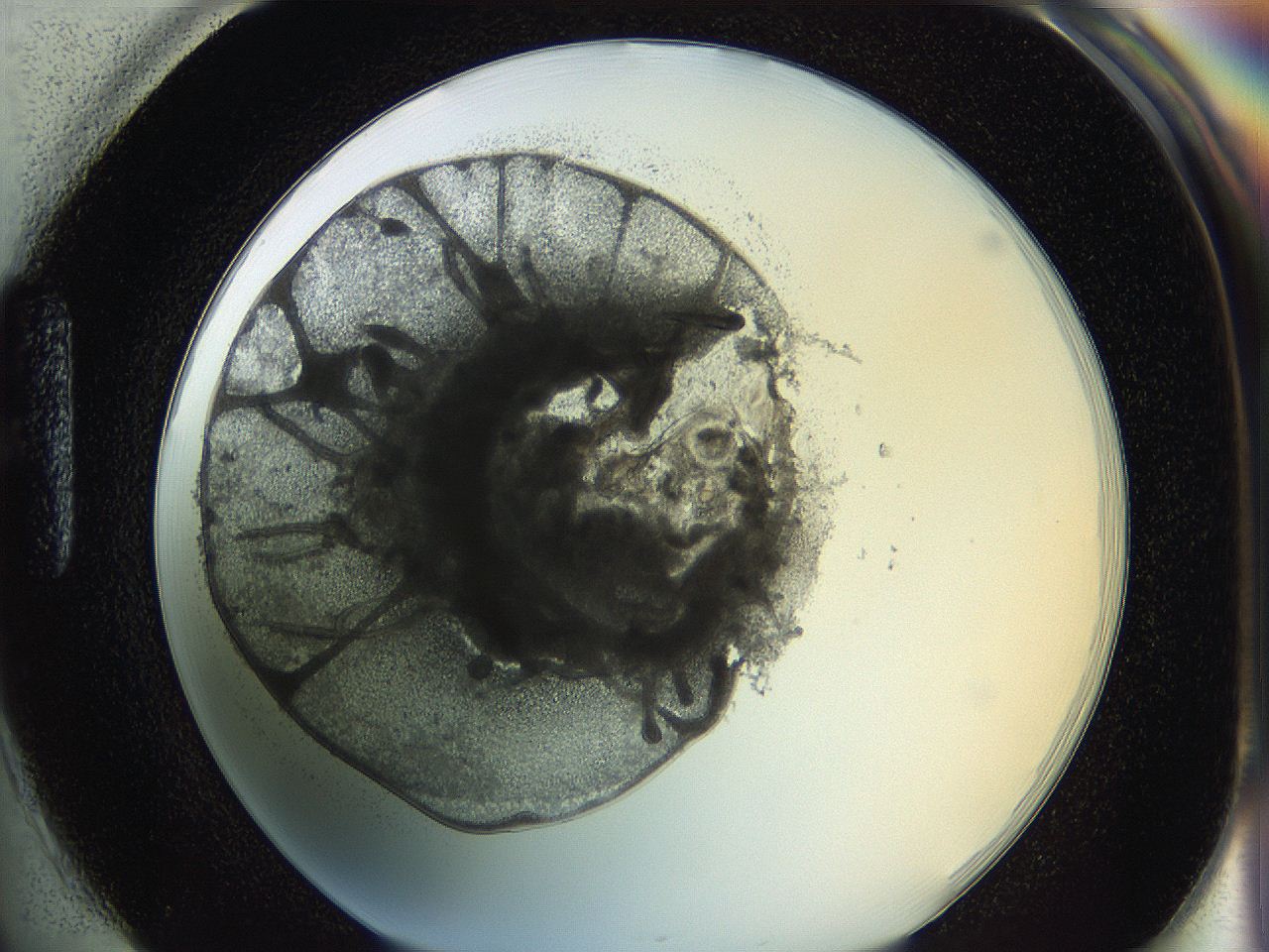 0628_H1_ImagerDefaults_3.jpg
