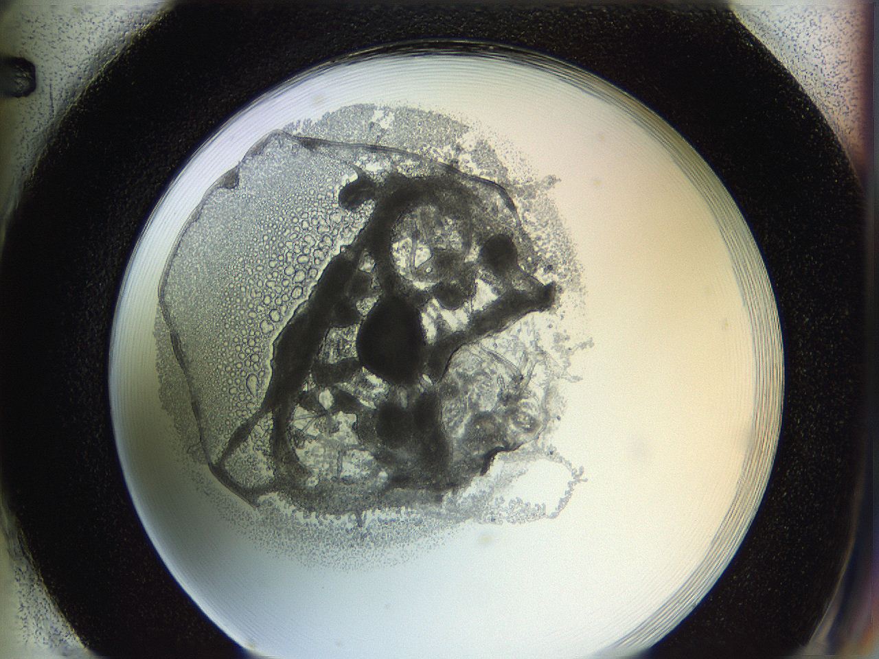 0628_H2_ImagerDefaults_3.jpg