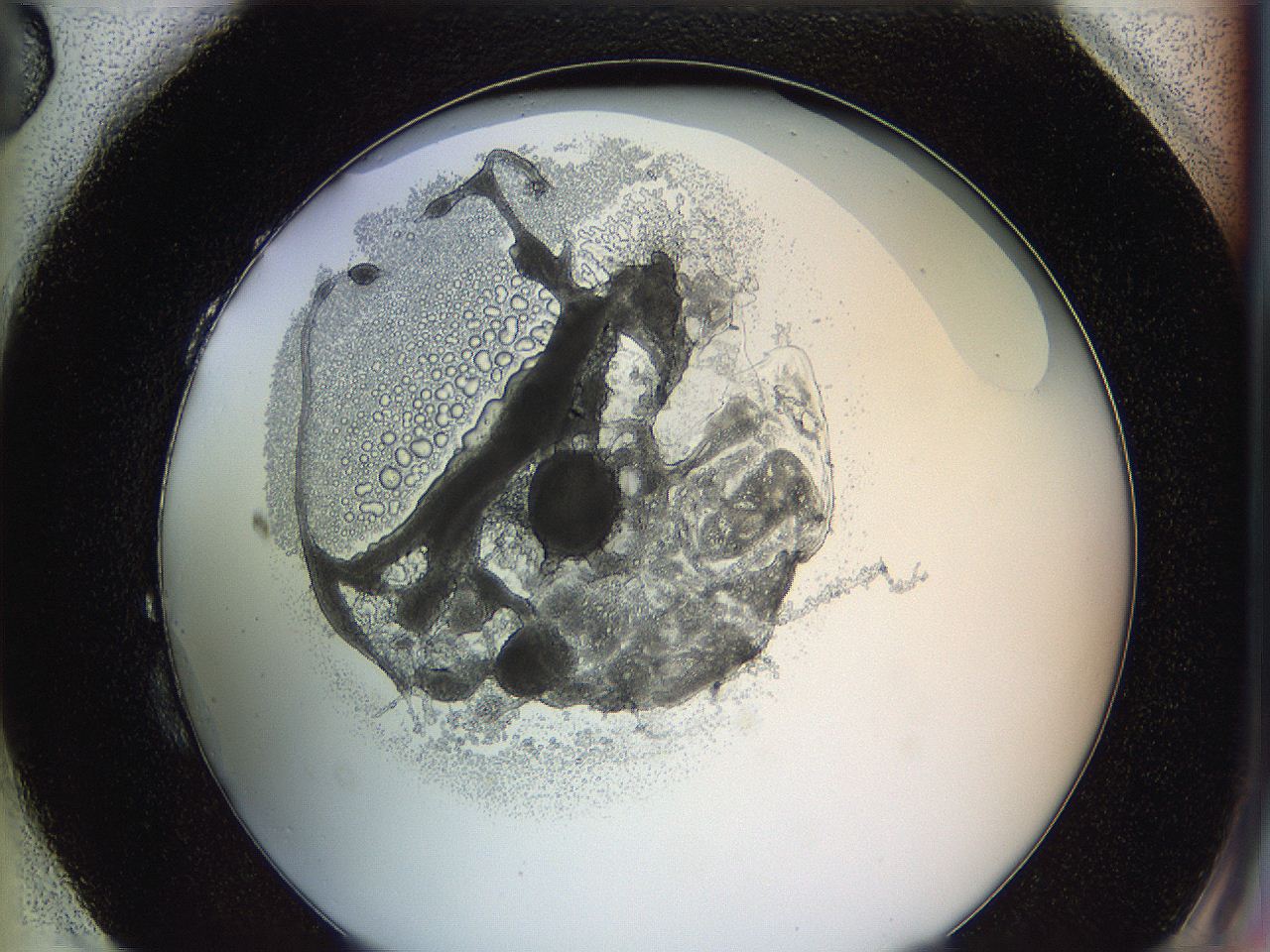 0628_H3_ImagerDefaults_3.jpg