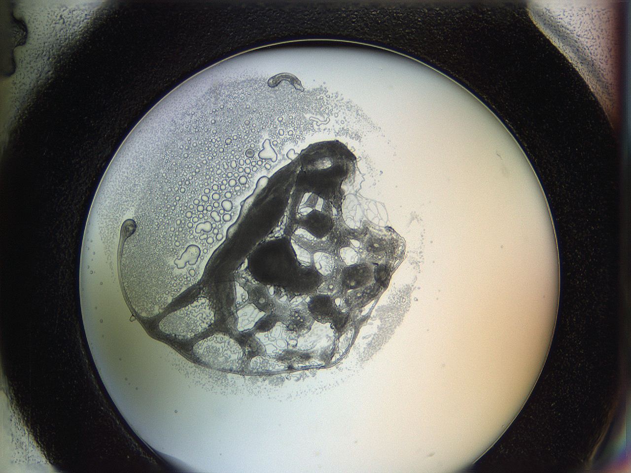 0628_H4_ImagerDefaults_3.jpg