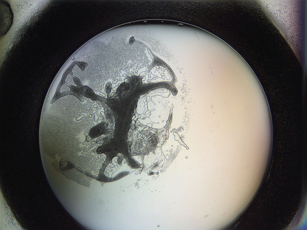 0628_H6_ImagerDefaults_3.jpg