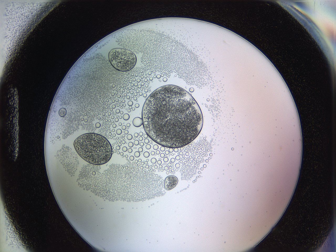 0628_H7_ImagerDefaults_5.jpg