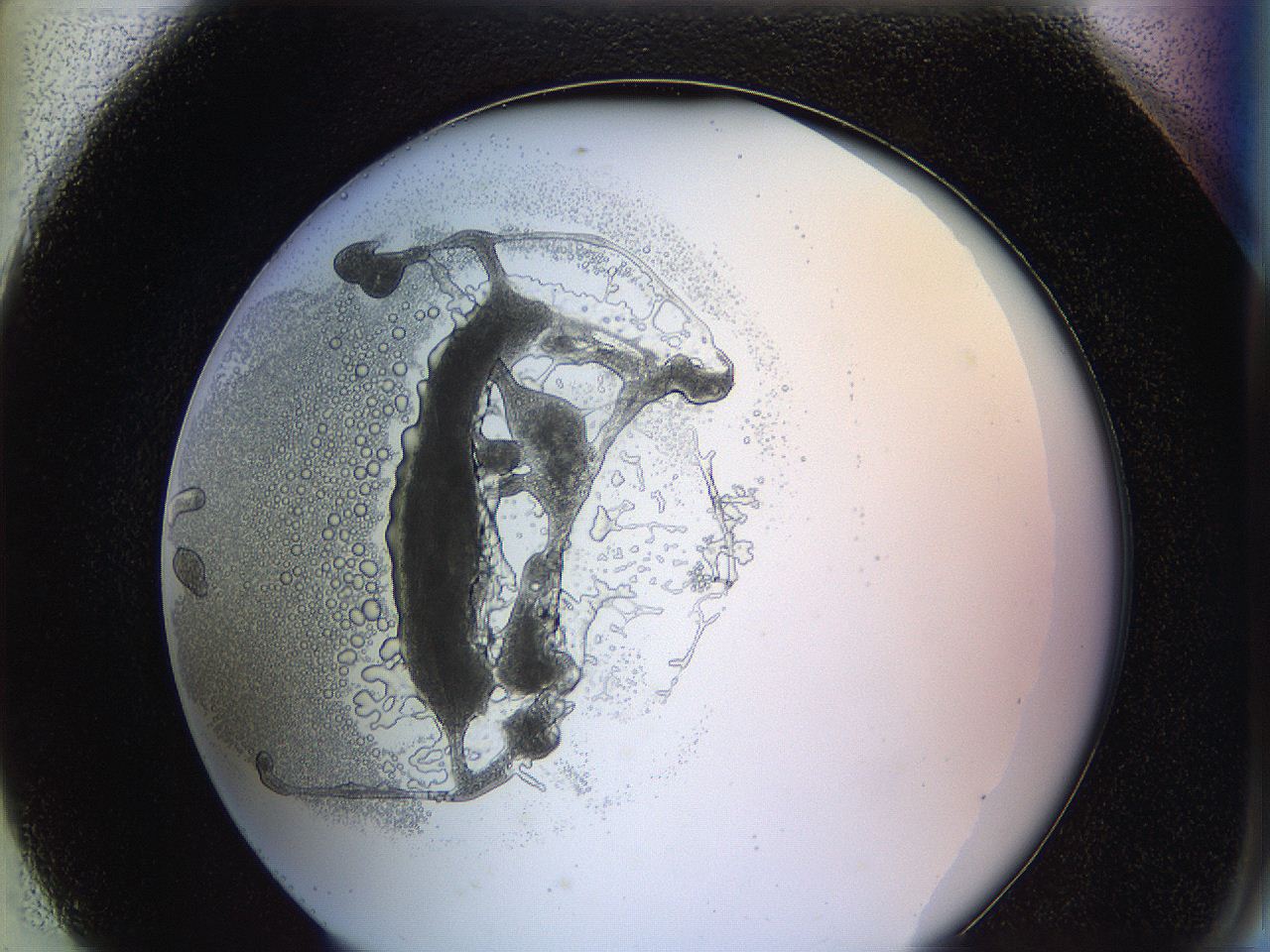0628_H7_ImagerDefaults_3.jpg