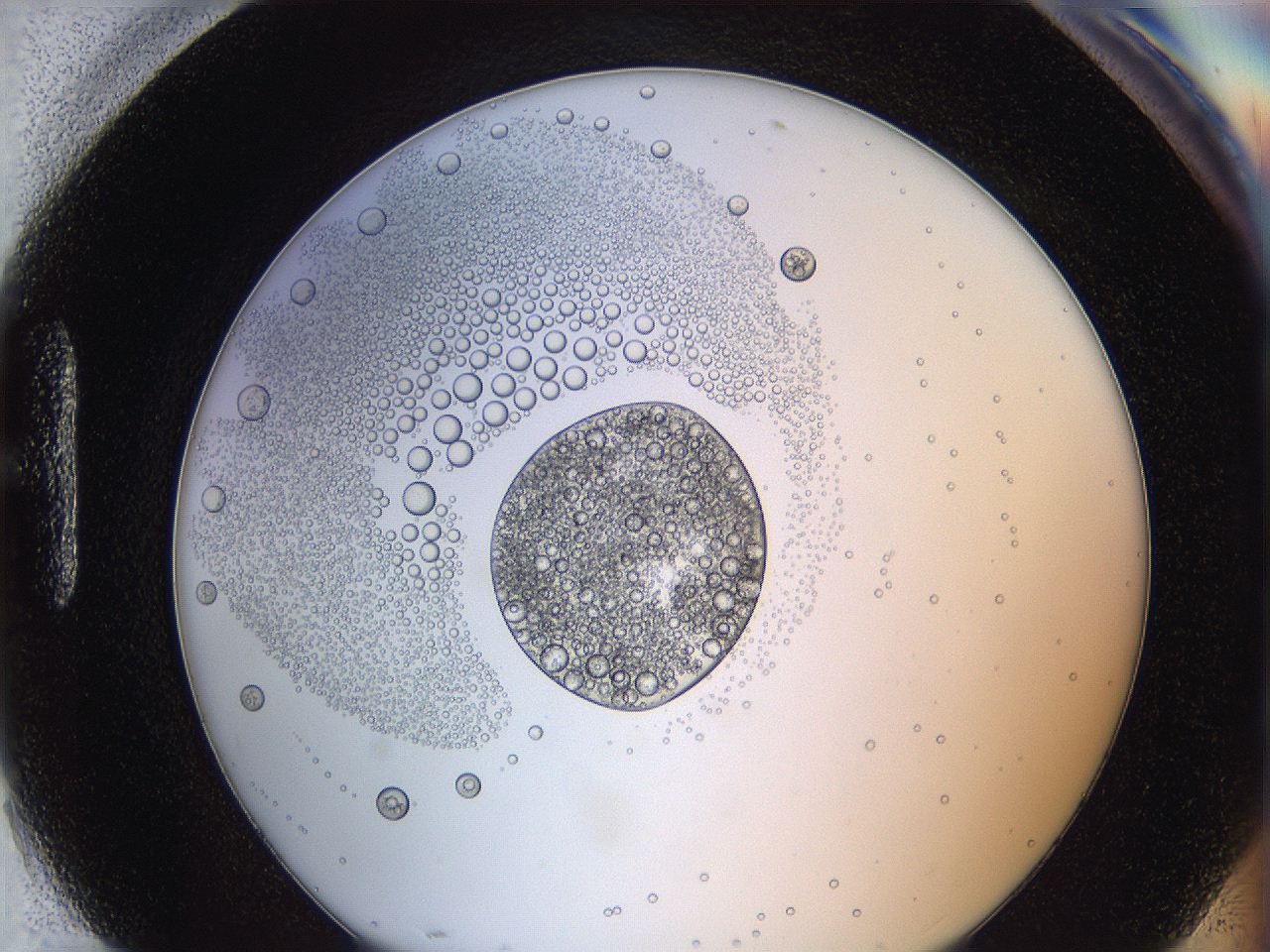 0628_H10_ImagerDefaults_5.jpg