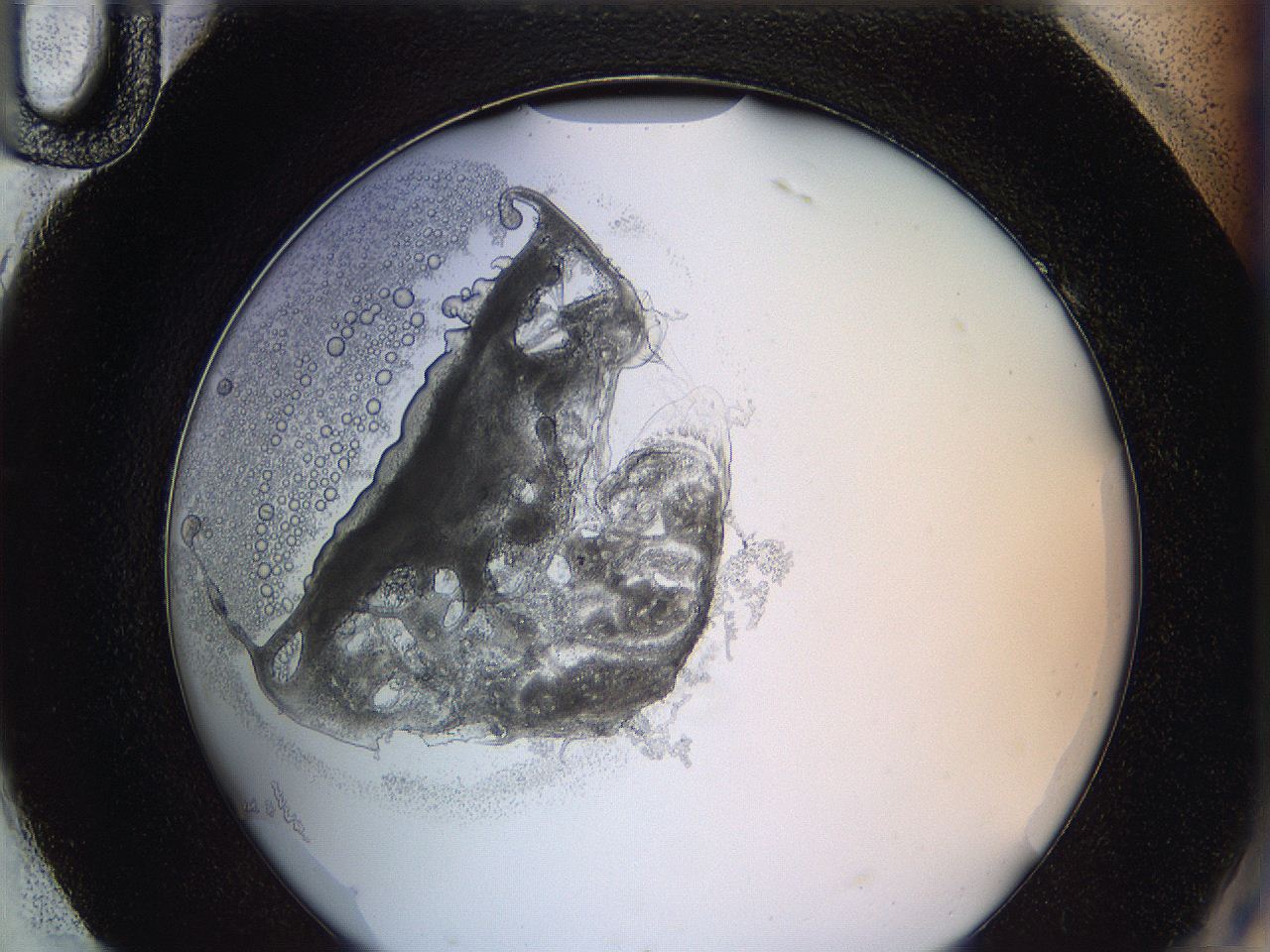 0628_H10_ImagerDefaults_3.jpg