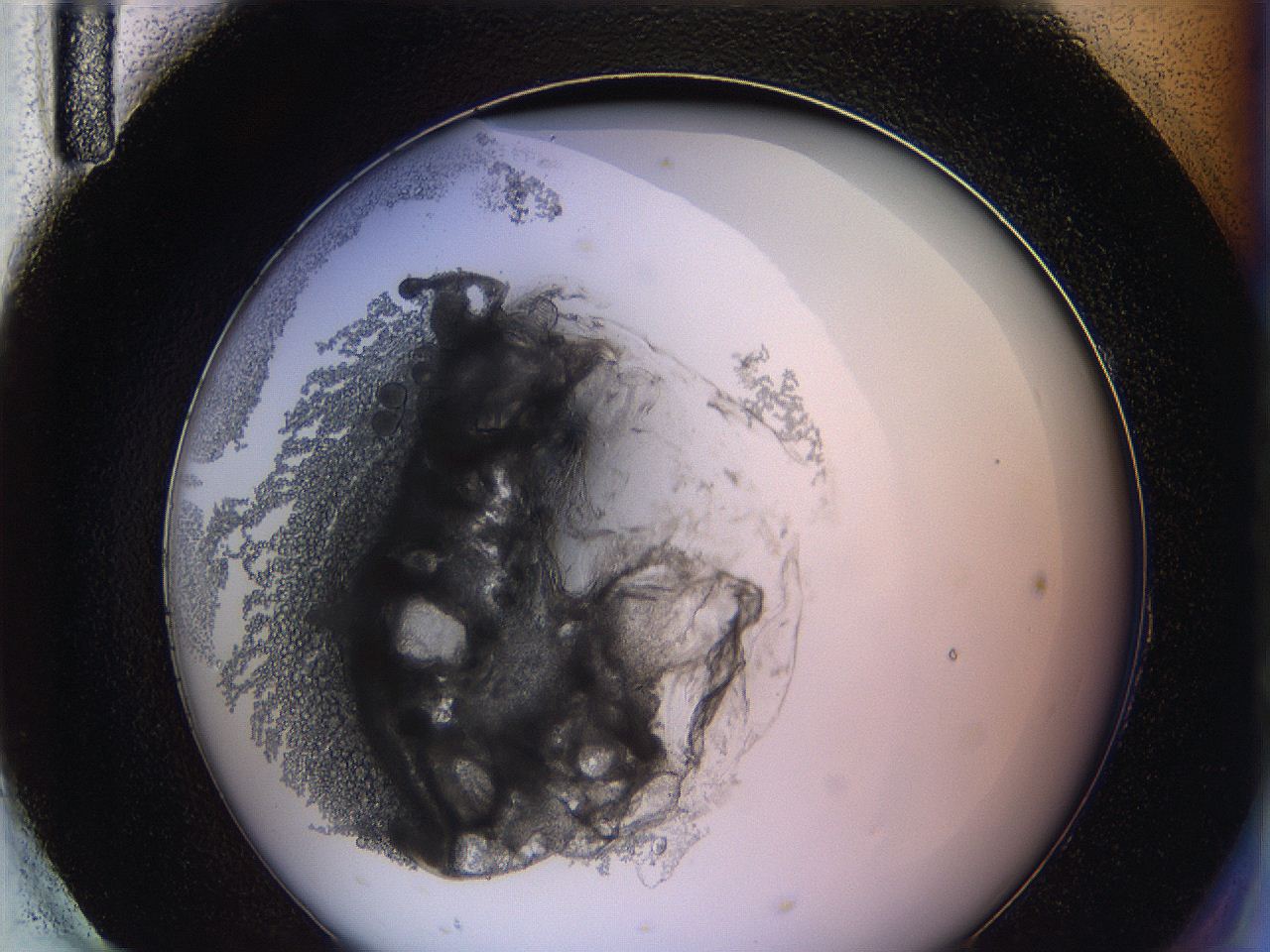 0628_H11_ImagerDefaults_3.jpg