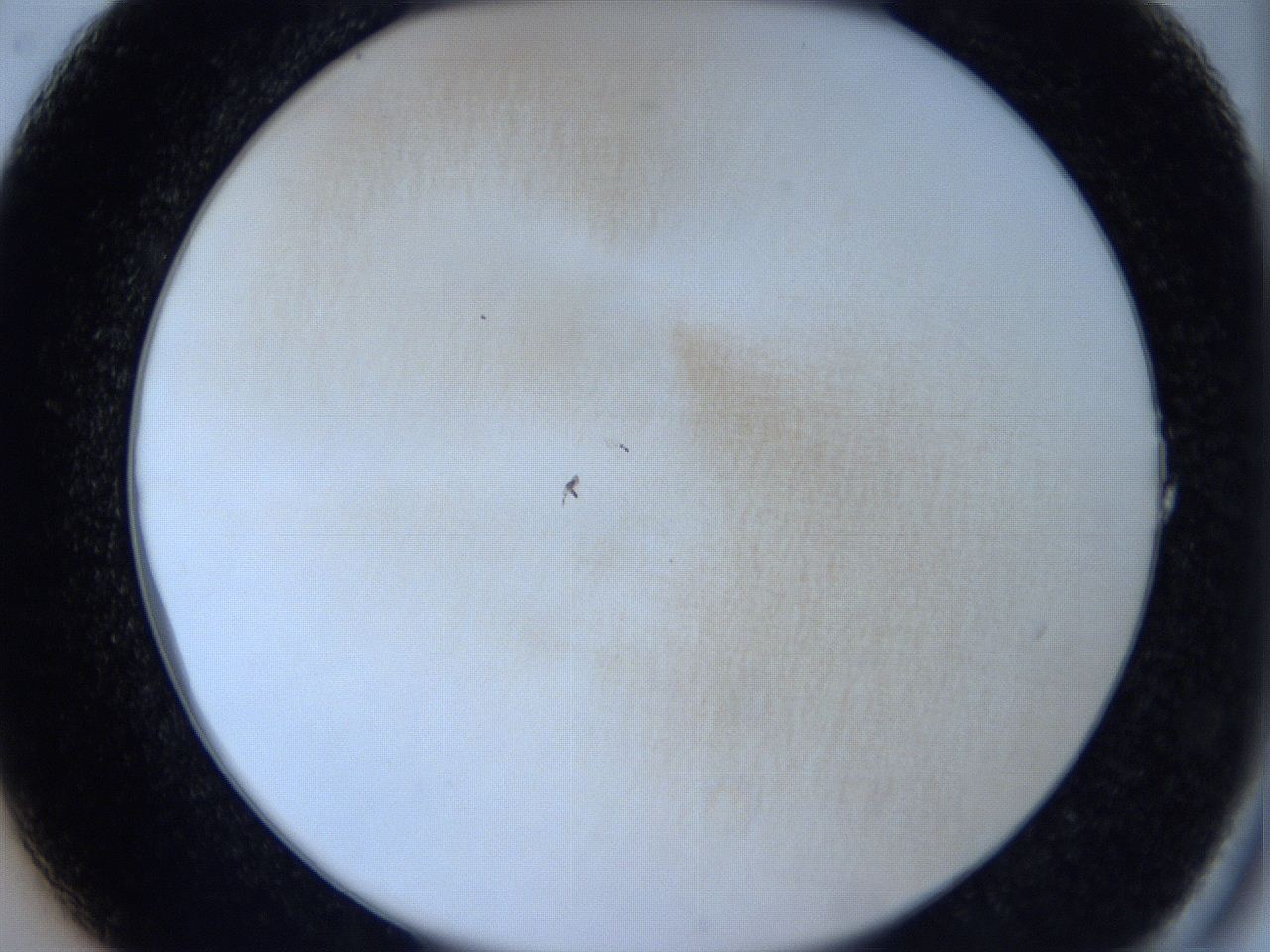 0629_A1_ImagerDefaults_0.jpg