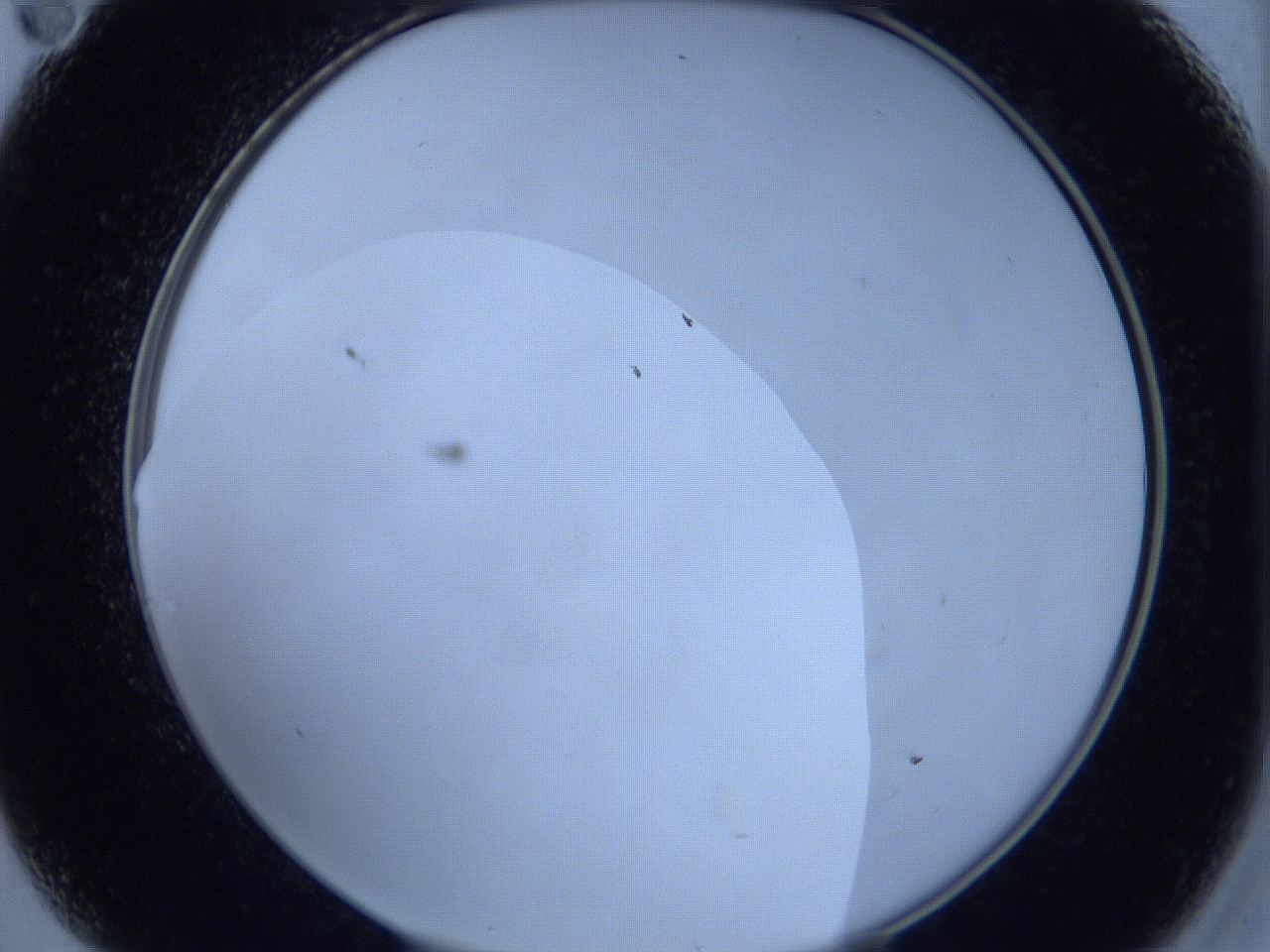 0629_A11_ImagerDefaults_0.jpg