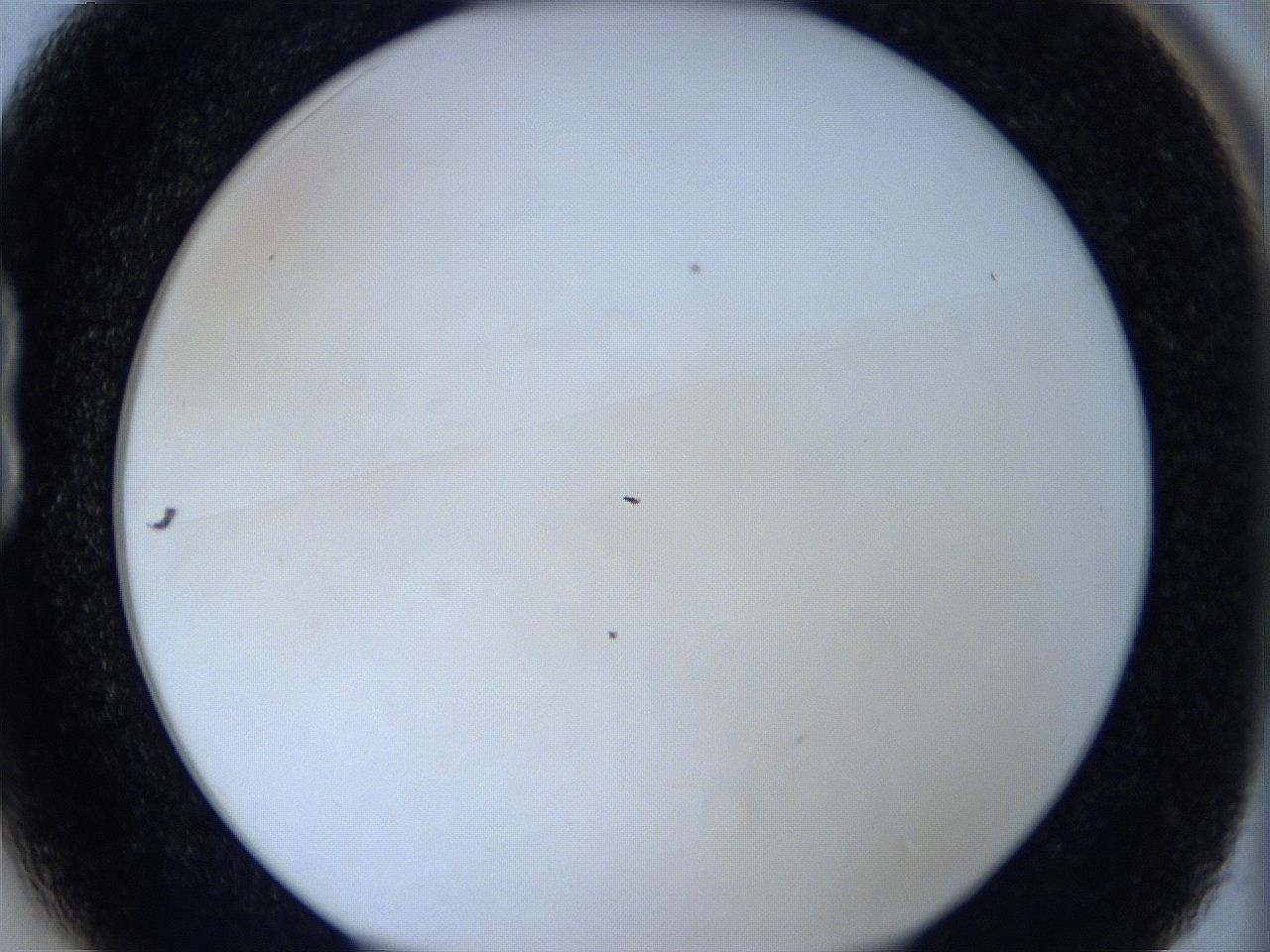 0629_B1_ImagerDefaults_0.jpg