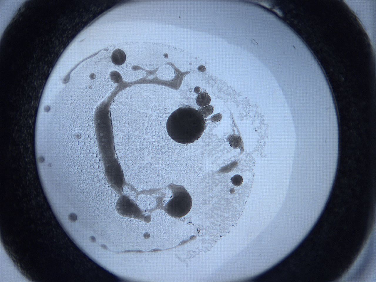 0629_B6_ImagerDefaults_5.jpg