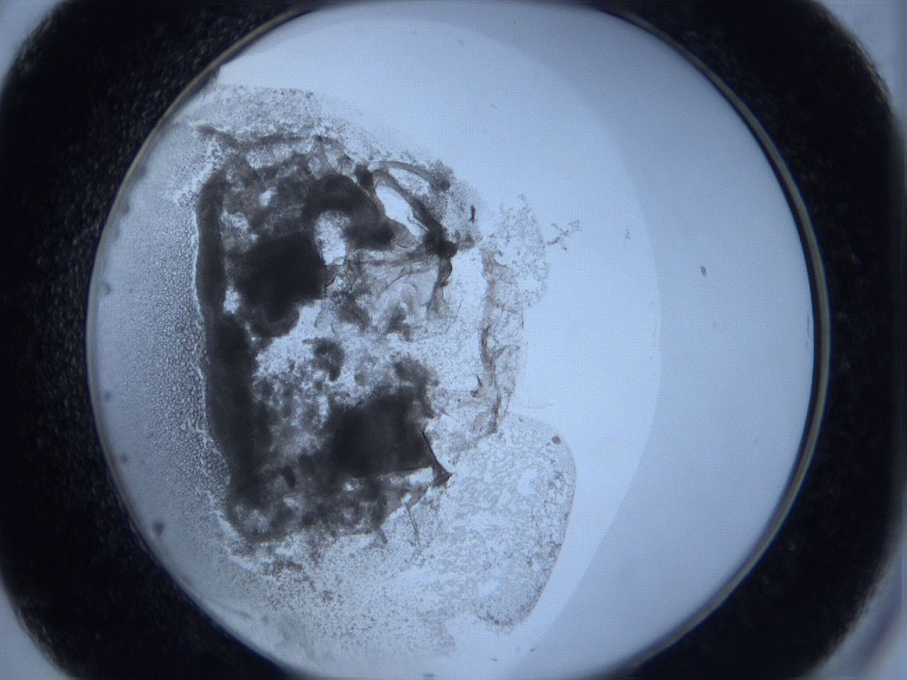 0629_B8_ImagerDefaults_3.jpg