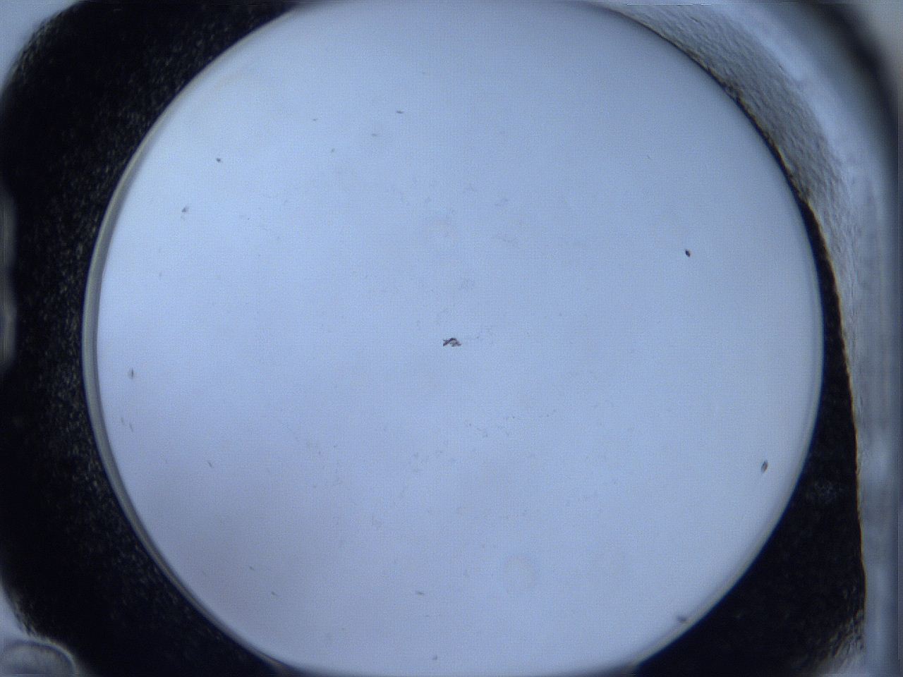 0629_B12_ImagerDefaults_0.jpg