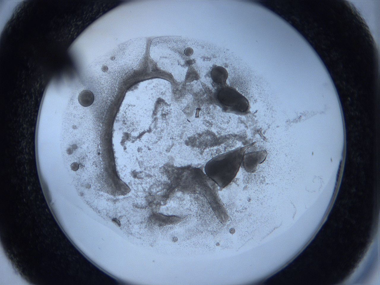 0629_C6_ImagerDefaults_3.jpg