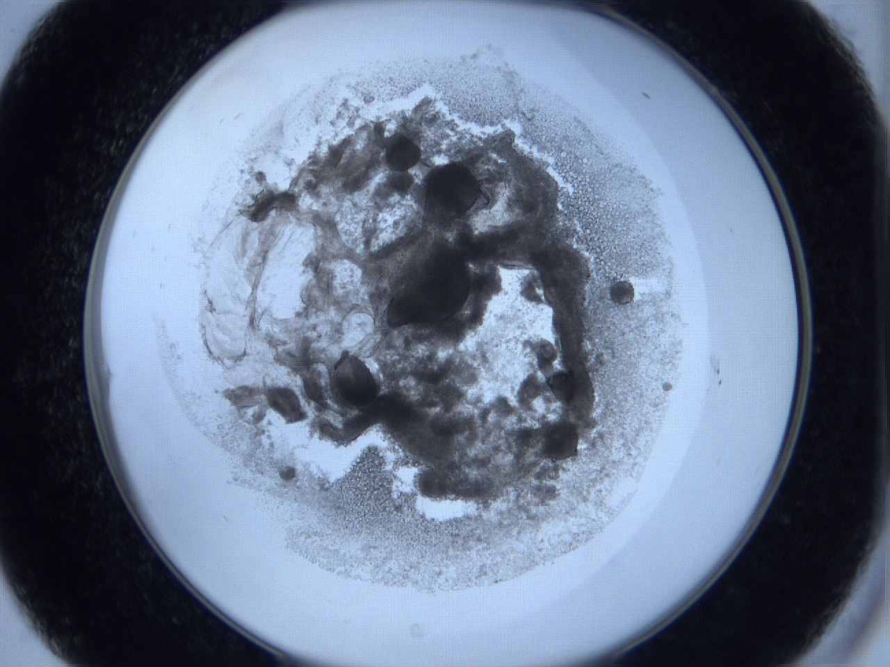0629_C7_ImagerDefaults_3.jpg