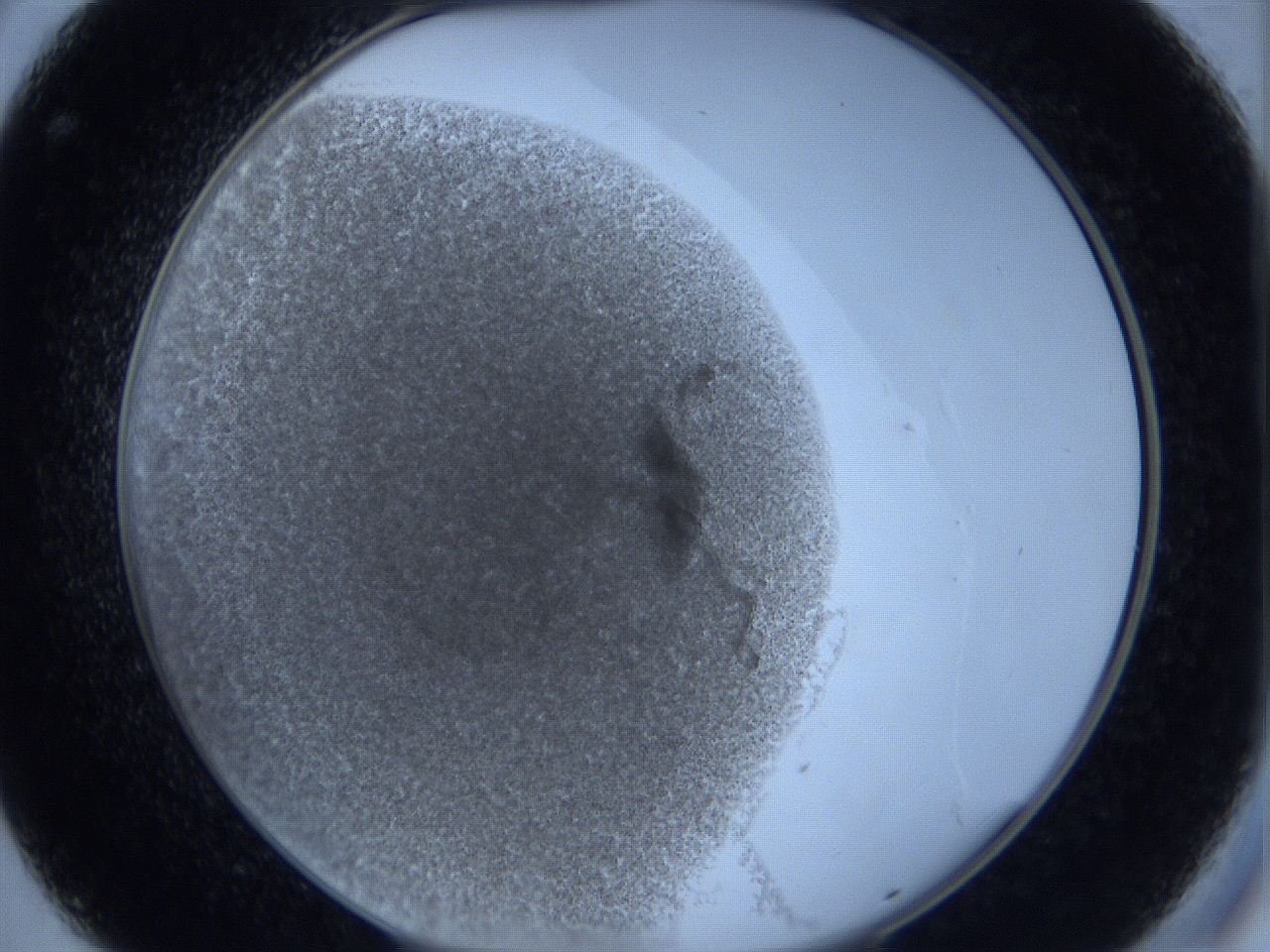 0629_C8_ImagerDefaults_4.jpg
