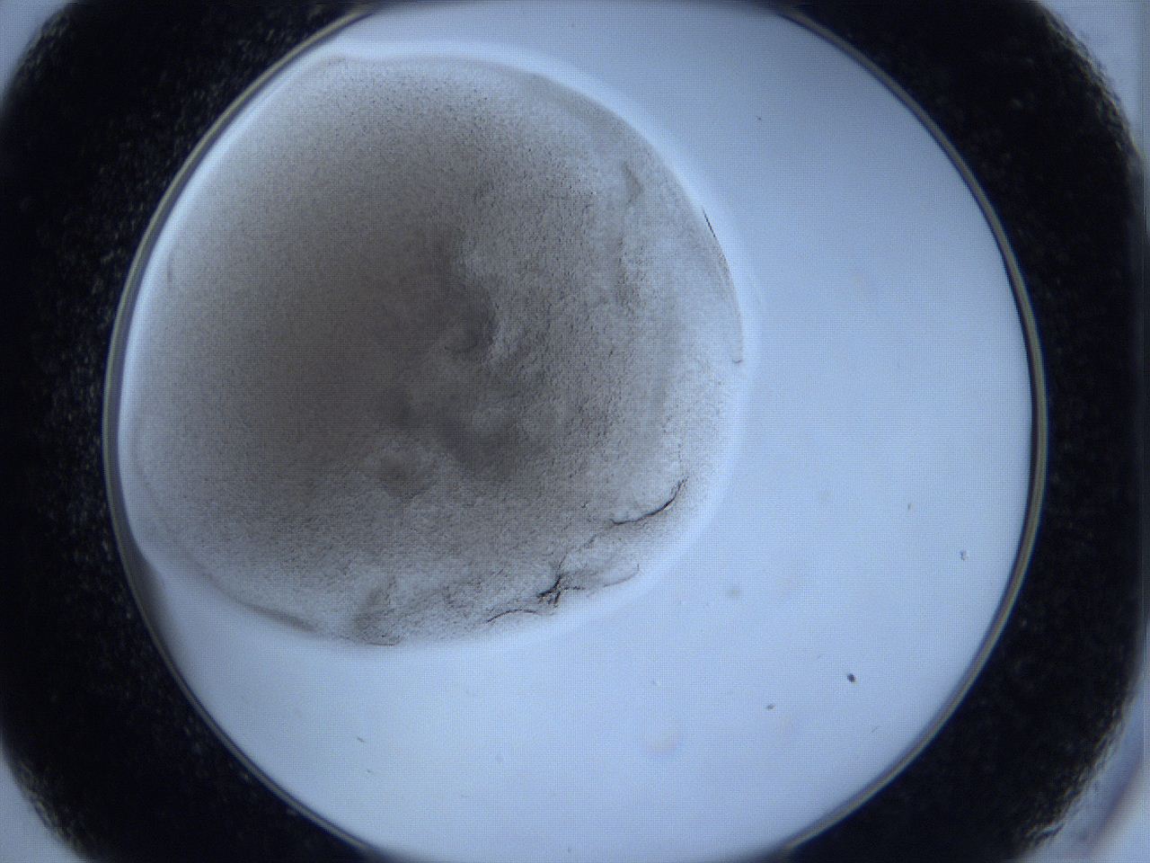 0629_C9_ImagerDefaults_4.jpg