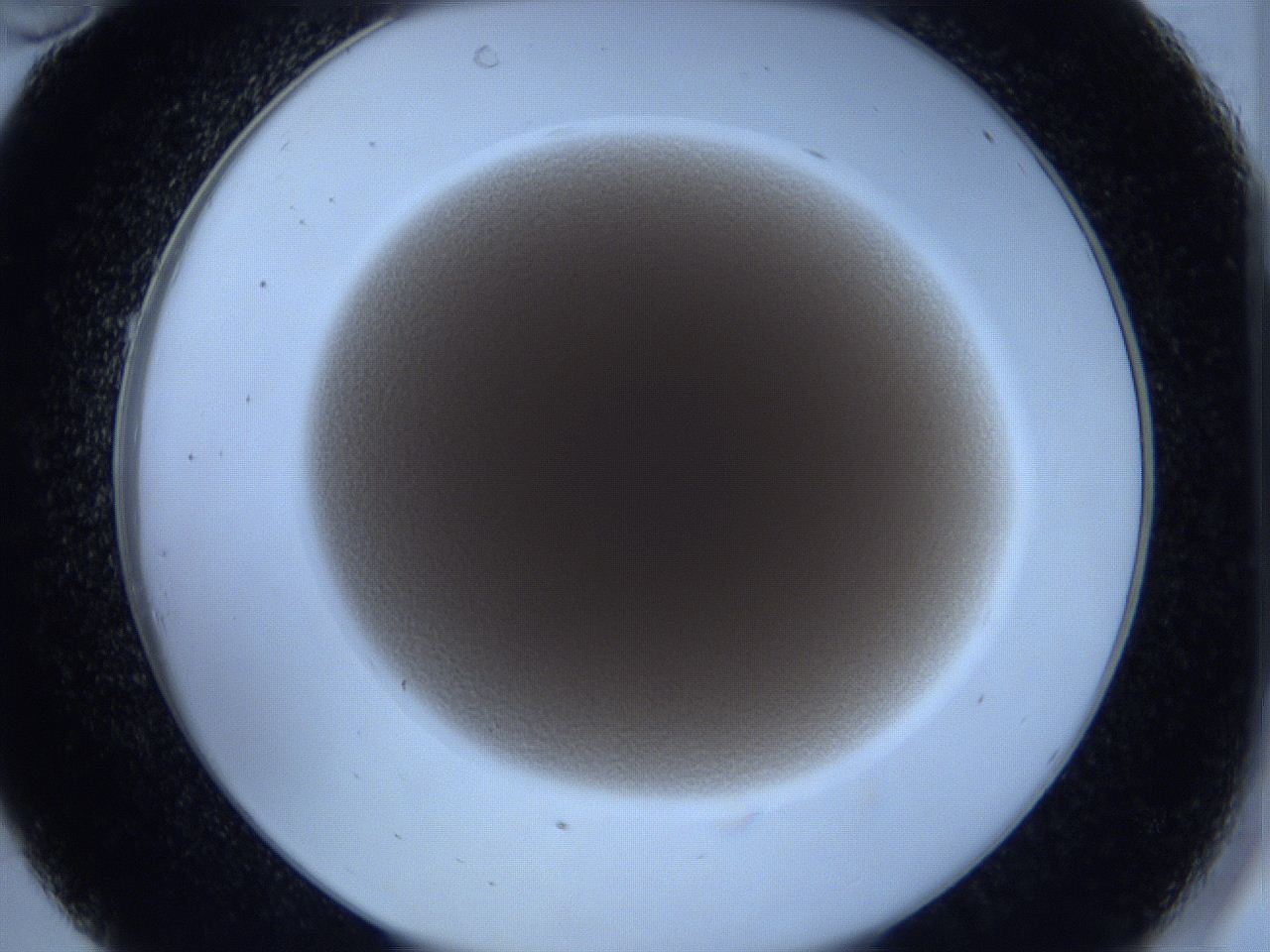 0629_C10_ImagerDefaults_4.jpg