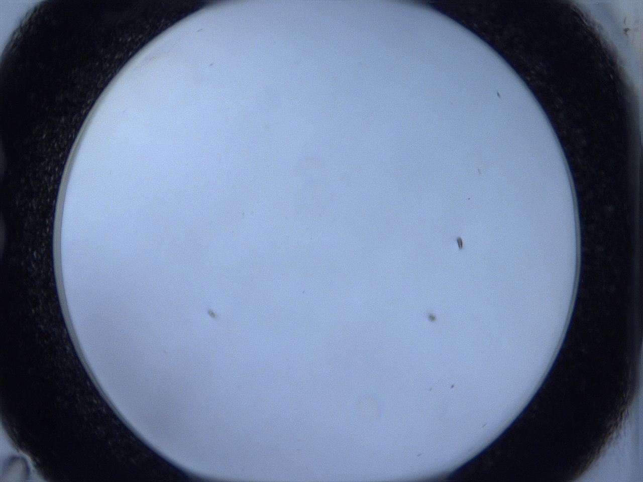 0629_C11_ImagerDefaults_0.jpg