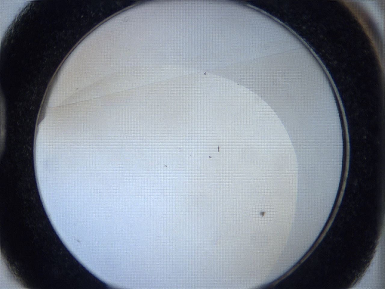 0629_D1_ImagerDefaults_0.jpg